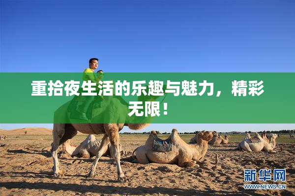 重拾夜生活的乐趣与魅力，精彩无限！