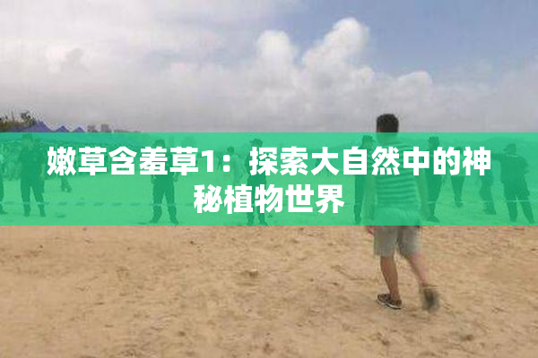 嫩草含羞草1：探索大自然中的神秘植物世界
