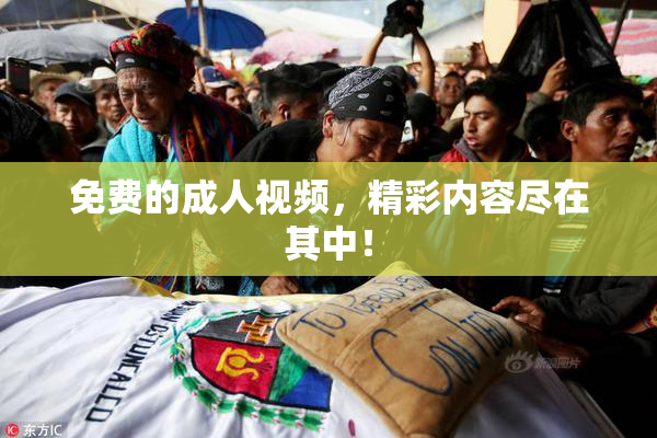 免费的成人视频，精彩内容尽在其中！