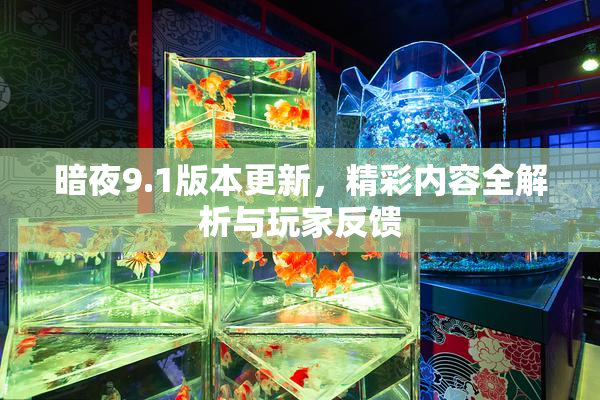 暗夜9.1版本更新，精彩内容全解析与玩家反馈