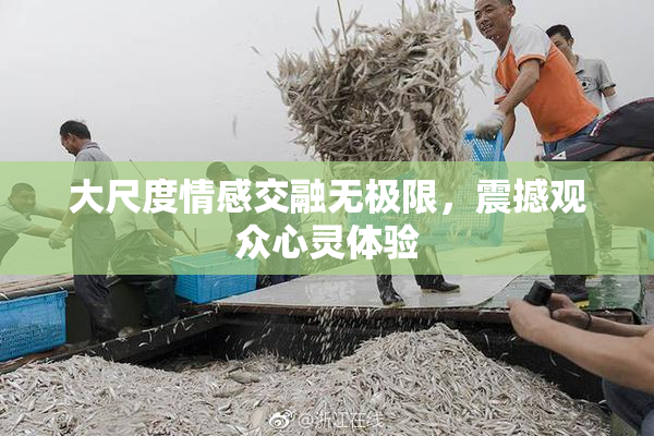 大尺度情感交融无极限，震撼观众心灵体验