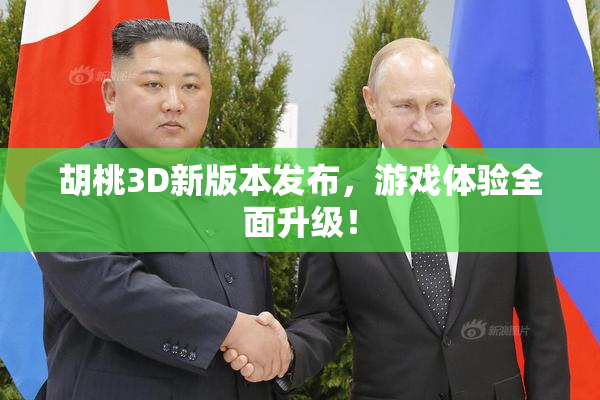 胡桃3D新版本发布，游戏体验全面升级！