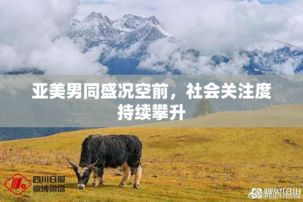 亚美男同盛况空前，社会关注度持续攀升