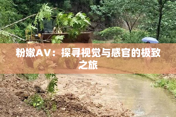 粉嫩AV：探寻视觉与感官的极致之旅