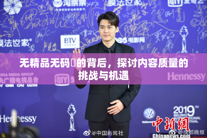 无精品无码囯的背后，探讨内容质量的挑战与机遇