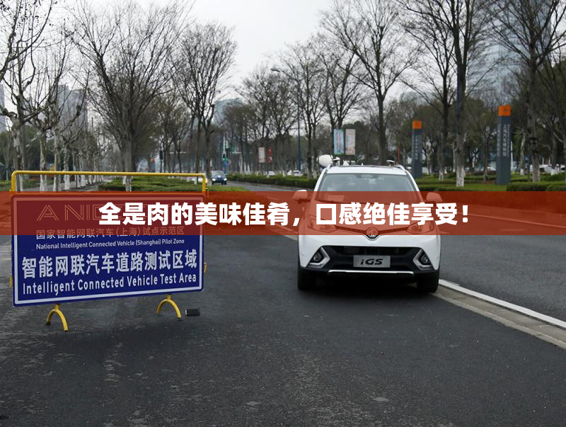 全是肉的美味佳肴，口感绝佳享受！