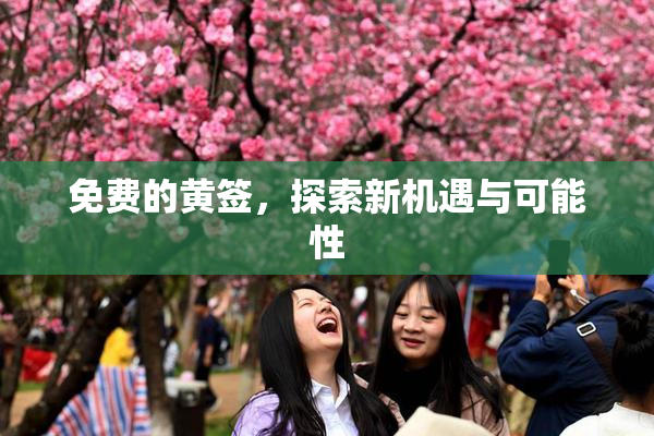 免费的黄签，探索新机遇与可能性