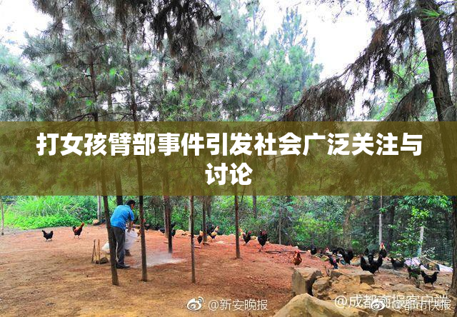 打女孩臂部事件引发社会广泛关注与讨论