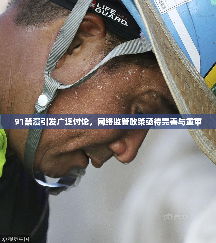 91禁漫引发广泛讨论，网络监管政策亟待完善与重审