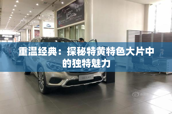重温经典：探秘特黄特色大片中的独特魅力
