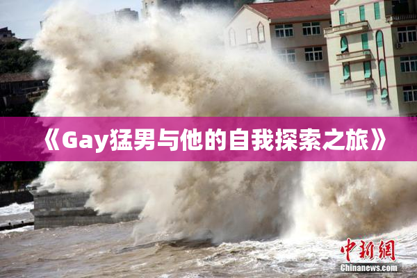 《Gay猛男与他的自我探索之旅》