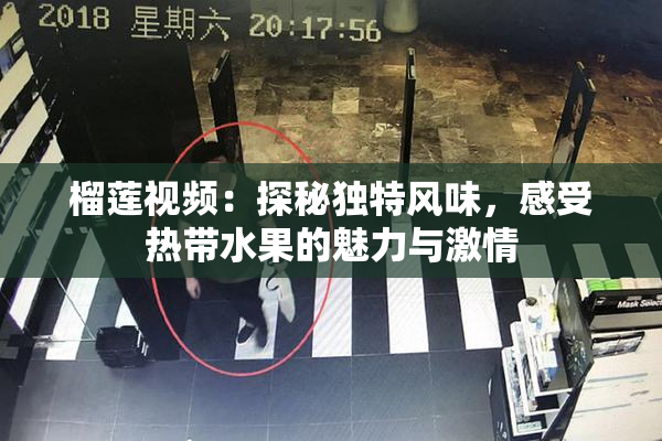 榴莲视频：探秘独特风味，感受热带水果的魅力与激情