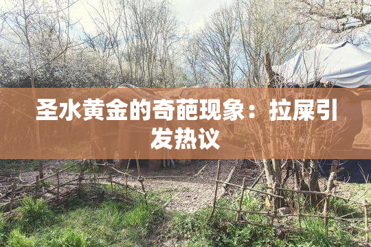 圣水黄金的奇葩现象：拉屎引发热议