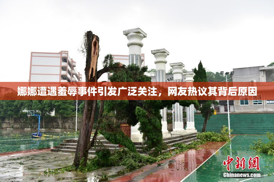 娜娜遭遇羞辱事件引发广泛关注，网友热议其背后原因