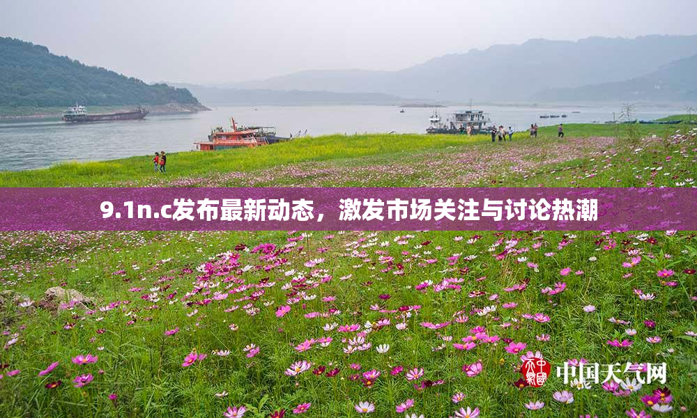 9.1n.c发布最新动态，激发市场关注与讨论热潮