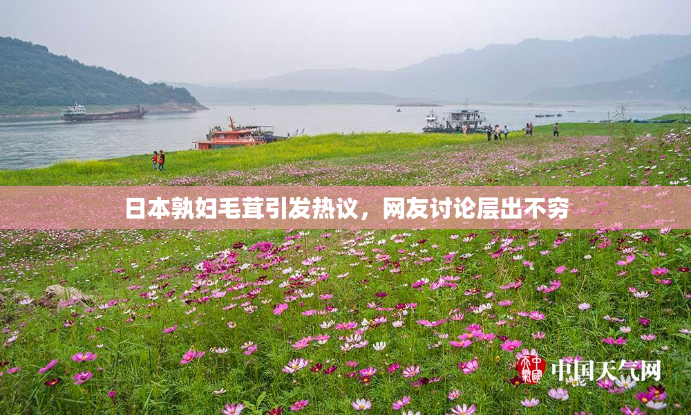 日本孰妇毛茸引发热议，网友讨论层出不穷