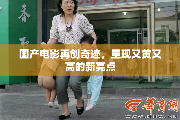 国产电影再创奇迹，呈现又黄又高的新亮点