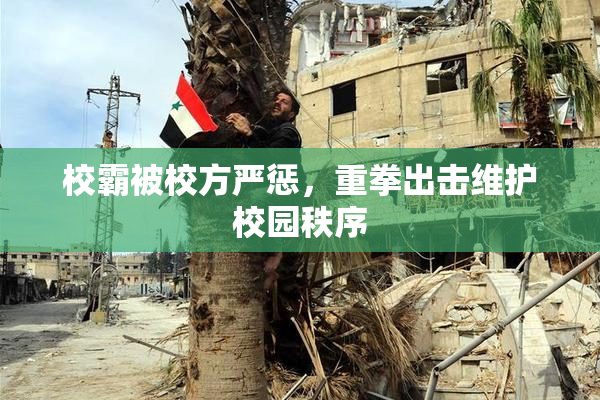 校霸被校方严惩，重拳出击维护校园秩序