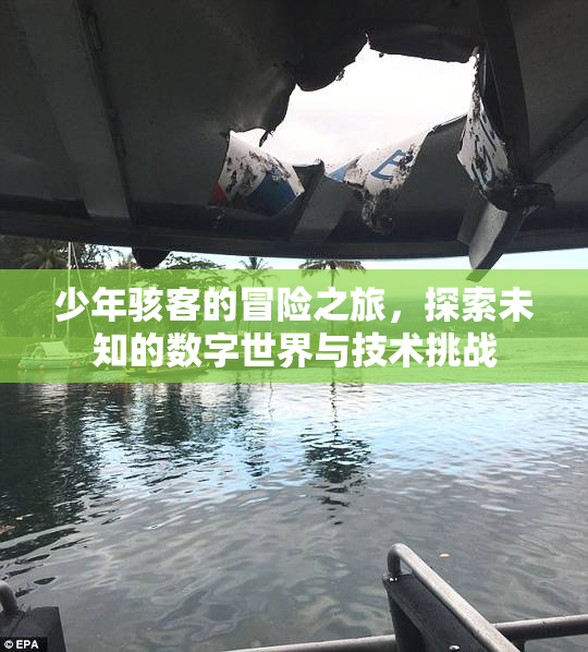 少年骇客的冒险之旅，探索未知的数字世界与技术挑战