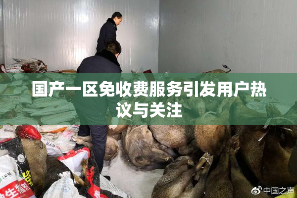 国产一区免收费服务引发用户热议与关注