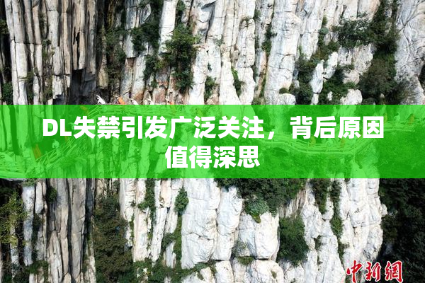 DL失禁引发广泛关注，背后原因值得深思