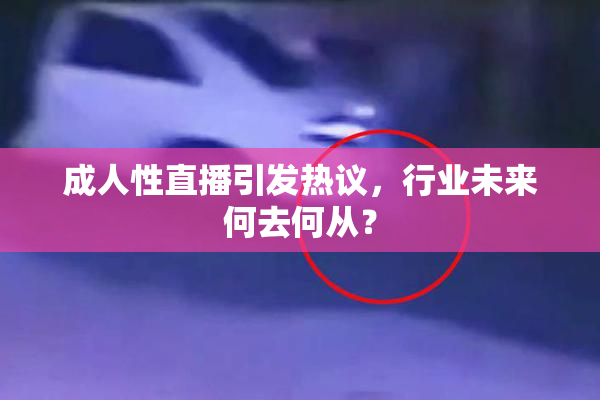 成人性直播引发热议，行业未来何去何从？