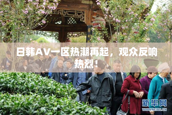 日韩AV一区热潮再起，观众反响热烈！