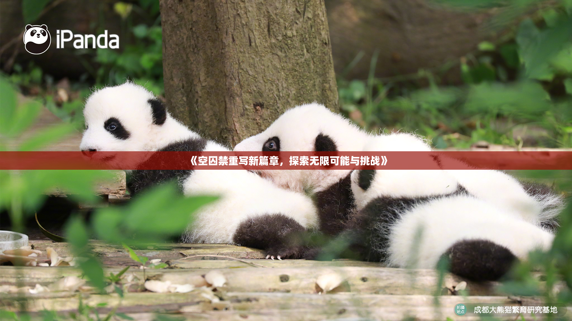 《空囚禁重写新篇章，探索无限可能与挑战》