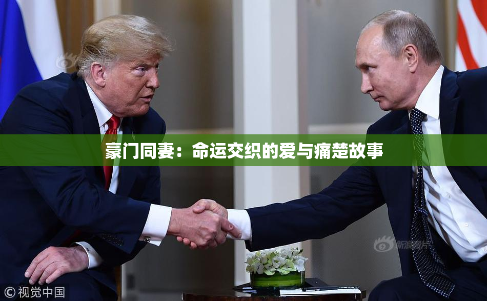 豪门同妻：命运交织的爱与痛楚故事