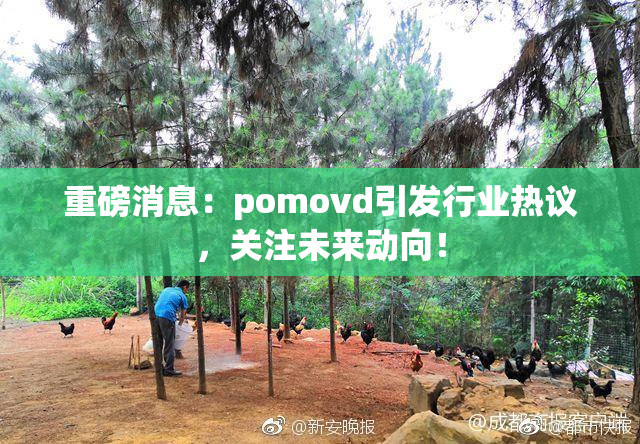 重磅消息：pomovd引发行业热议，关注未来动向！