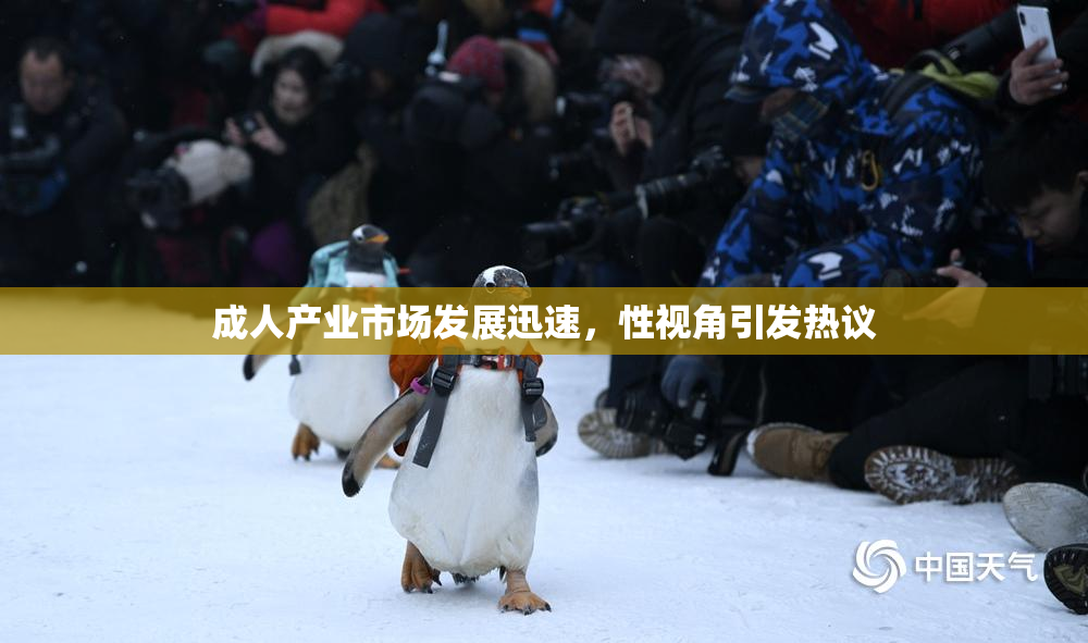 成人产业市场发展迅速，性视角引发热议