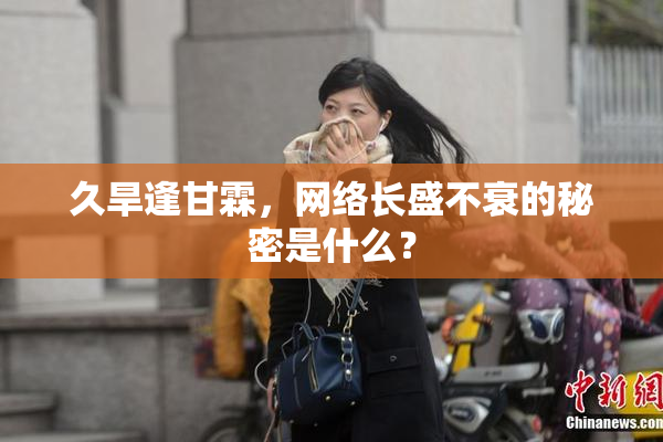 久旱逢甘霖，网络长盛不衰的秘密是什么？