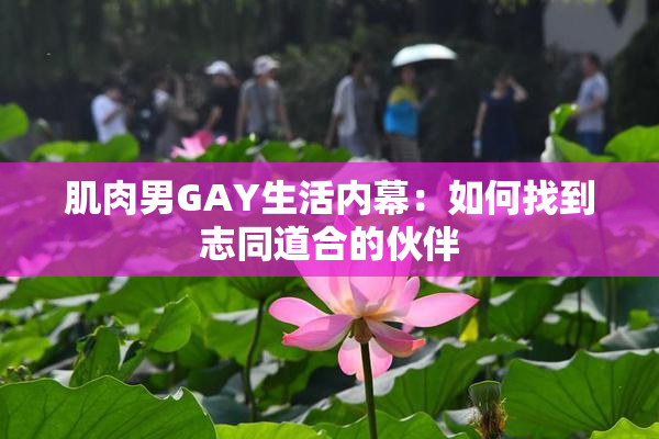 肌肉男GAY生活内幕：如何找到志同道合的伙伴