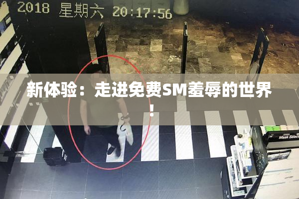 新体验：走进免费SM羞辱的世界！