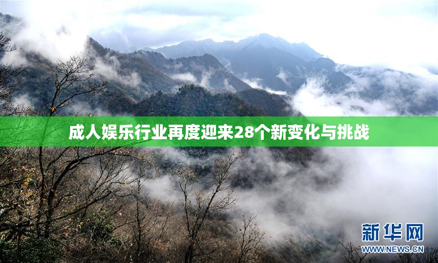 成人娱乐行业再度迎来28个新变化与挑战