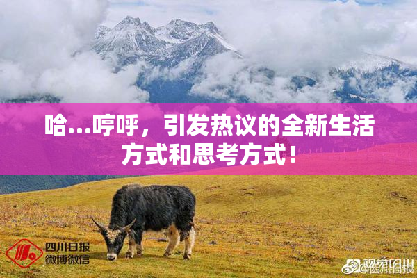 哈…哼呼，引发热议的全新生活方式和思考方式！