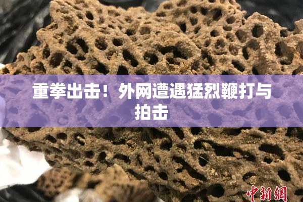 重拳出击！外网遭遇猛烈鞭打与拍击