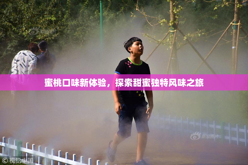 蜜桃口味新体验，探索甜蜜独特风味之旅