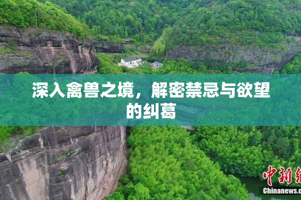 深入禽兽之境，解密禁忌与欲望的纠葛