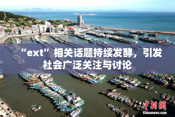 “ext”相关话题持续发酵，引发社会广泛关注与讨论
