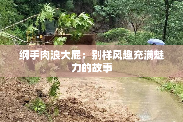 纲手肉浪大屁：别样风趣充满魅力的故事