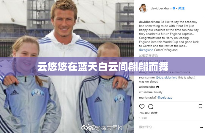 云悠悠在蓝天白云间翩翩而舞