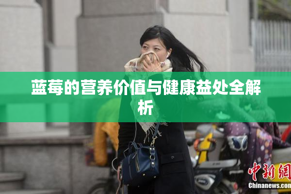 蓝莓的营养价值与健康益处全解析
