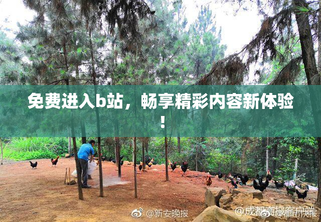 免费进入b站，畅享精彩内容新体验！
