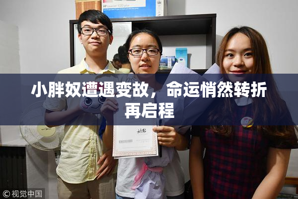 小胖奴遭遇变故，命运悄然转折再启程