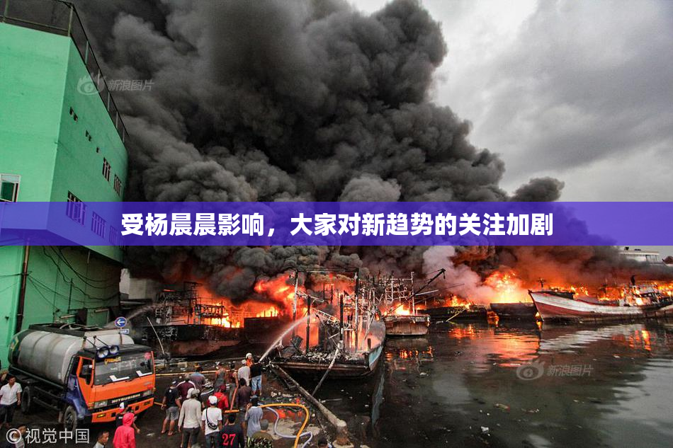 受杨晨晨影响，大家对新趋势的关注加剧