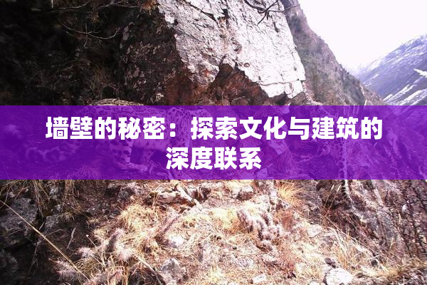 墙壁的秘密：探索文化与建筑的深度联系