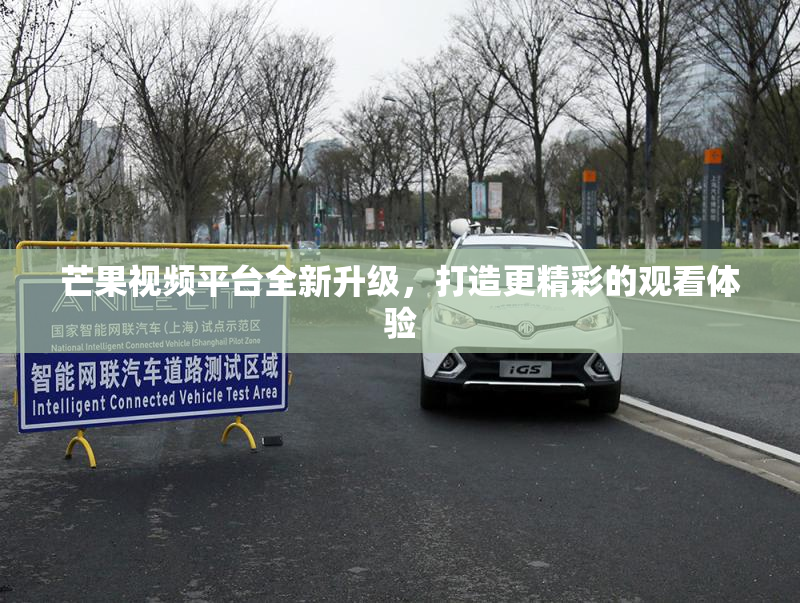 芒果视频平台全新升级，打造更精彩的观看体验
