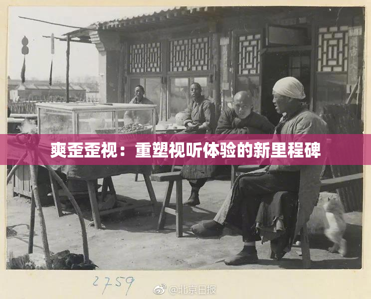 爽歪歪视：重塑视听体验的新里程碑