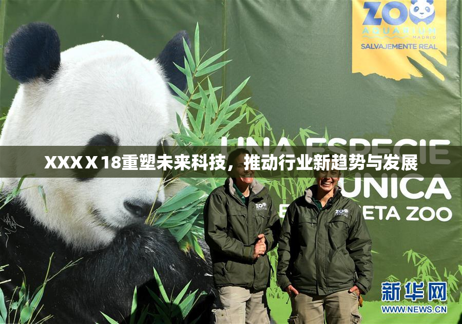 XXXⅩ18重塑未来科技，推动行业新趋势与发展